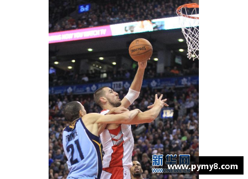 JN江南体育NBA常规赛_猛龙胜活塞 - 副本